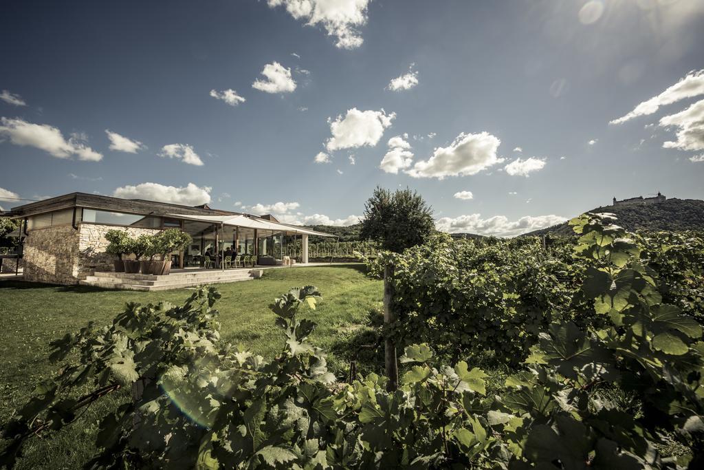 Malat Weingut Und Hotel Furth bei Gottweig Extérieur photo